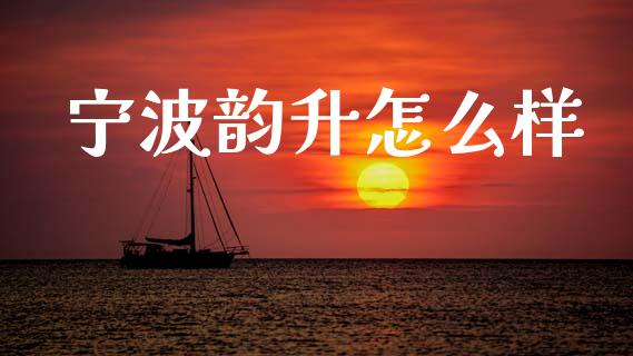 宁波韵升怎么样_https://m.eyunqq.com_期货投资学习_第1张