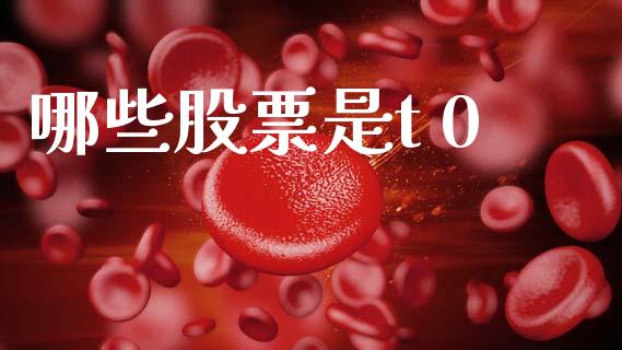 哪些股票是t 0_https://m.eyunqq.com_基金交易_第1张
