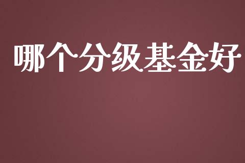 哪个分级基金好_https://m.eyunqq.com_基金交易_第1张