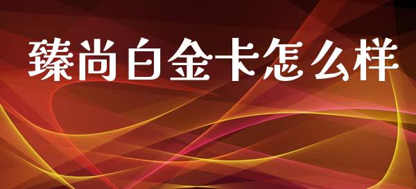 臻尚白金卡怎么样_https://m.eyunqq.com_融资融券_第1张