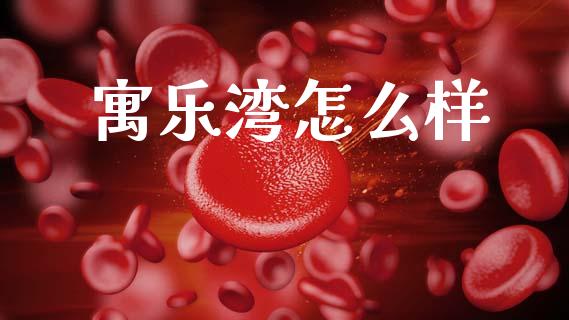 寓乐湾怎么样_https://m.eyunqq.com_期货投资学习_第1张
