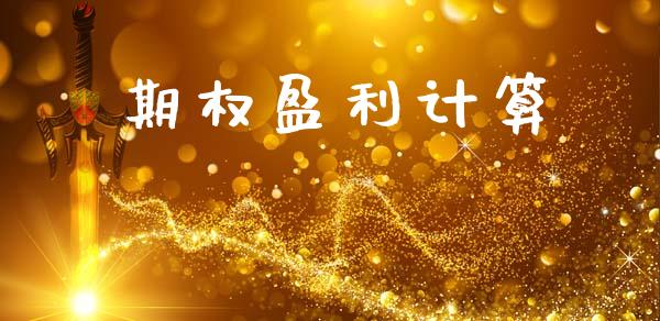 期权盈利计算_https://m.eyunqq.com_新股申购_第1张