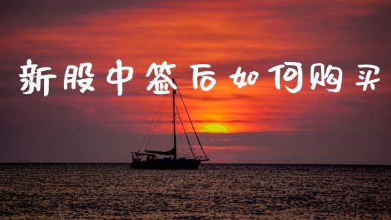 新股中签后如何购买_https://m.eyunqq.com_融资融券_第1张