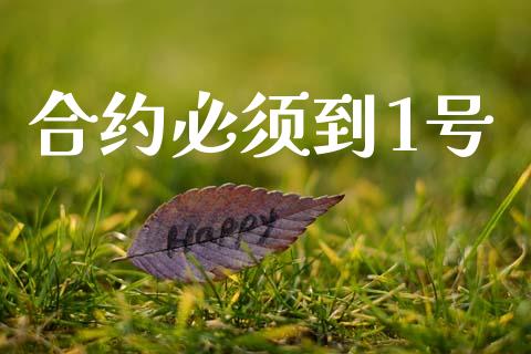 合约必须到1号_https://m.eyunqq.com_融资融券_第1张