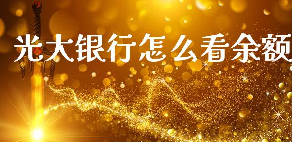 光大银行怎么看余额_https://m.eyunqq.com_期货投资学习_第1张