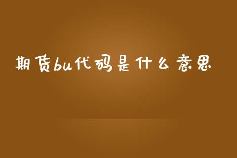 期货bu代码是什么意思_https://m.eyunqq.com_期货投资学习_第1张