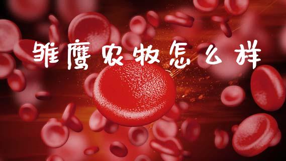 雏鹰农牧怎么样_https://m.eyunqq.com_融资融券_第1张