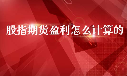 股指期货盈利怎么计算的_https://m.eyunqq.com_基金交易_第1张