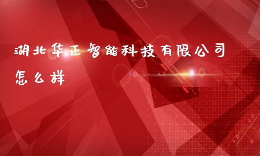 湖北华正智能科技有限公司怎么样_https://m.eyunqq.com_融资融券_第1张