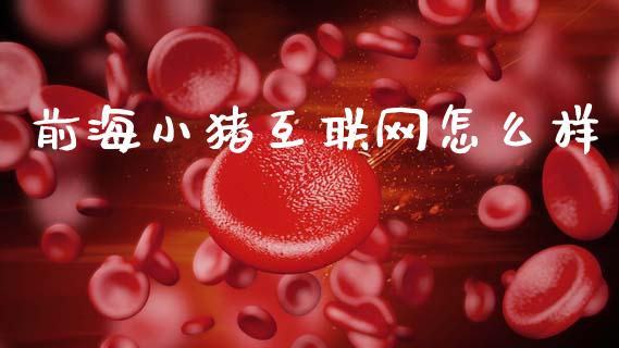 前海小猪互联网怎么样_https://m.eyunqq.com_新股申购_第1张