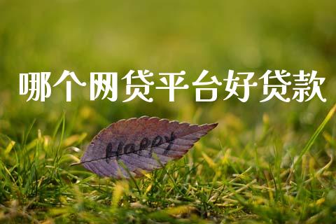 哪个网贷平台好贷款_https://m.eyunqq.com_新股申购_第1张