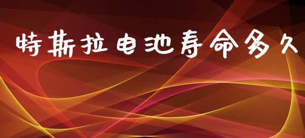 特斯拉电池寿命多久_https://m.eyunqq.com_新股申购_第1张