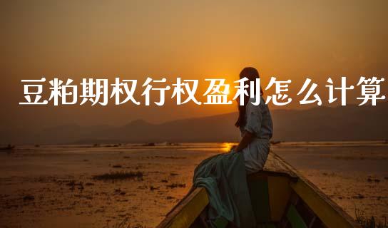 豆粕期权行权盈利怎么计算_https://m.eyunqq.com_期货投资学习_第1张