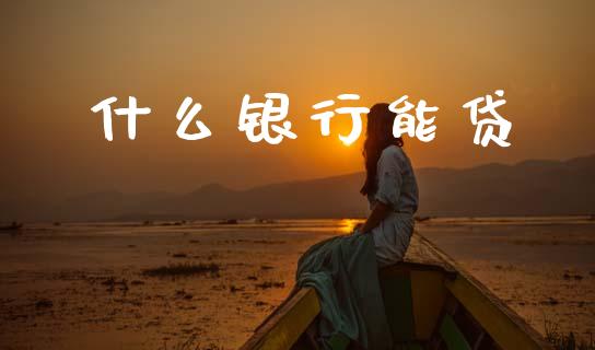什么银行能贷_https://m.eyunqq.com_期货投资学习_第1张