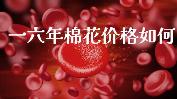 一六年棉花价格如何_https://m.eyunqq.com_基金交易_第1张