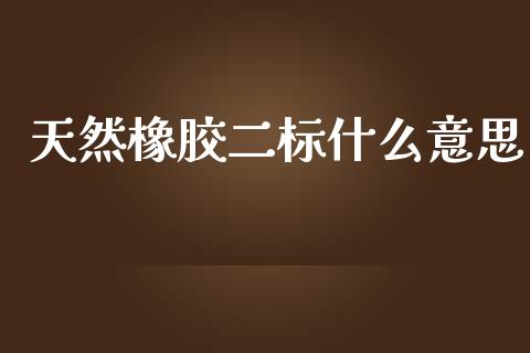 天然橡胶二标什么意思_https://m.eyunqq.com_基金交易_第1张