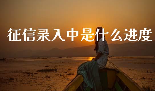 征信录入中是什么进度_https://m.eyunqq.com_融资融券_第1张