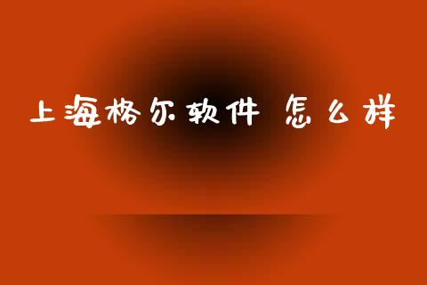 上海格尔软件 怎么样_https://m.eyunqq.com_期货投资学习_第1张