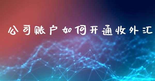 公司账户如何开通收外汇_https://m.eyunqq.com_基金交易_第1张