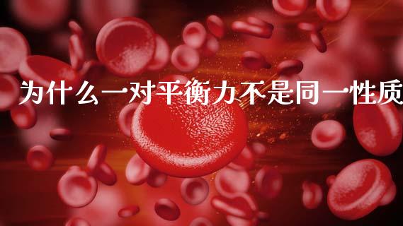 为什么一对平衡力不是同一性质_https://m.eyunqq.com_融资融券_第1张