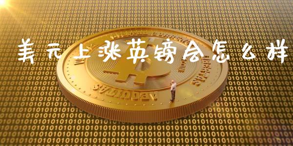 美元上涨英镑会怎么样_新股申购_第1张_期货投资学习_新股申购_融资融券_基金交易 美元上涨英镑会怎么样_https://m.eyunqq.com_新股申购_第1张