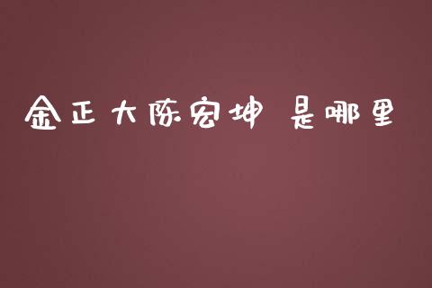 金正大陈宏坤 是哪里_https://m.eyunqq.com_基金交易_第1张