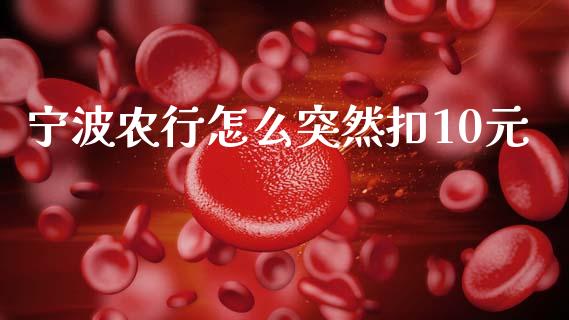 宁波农行怎么突然扣10元_https://m.eyunqq.com_基金交易_第1张