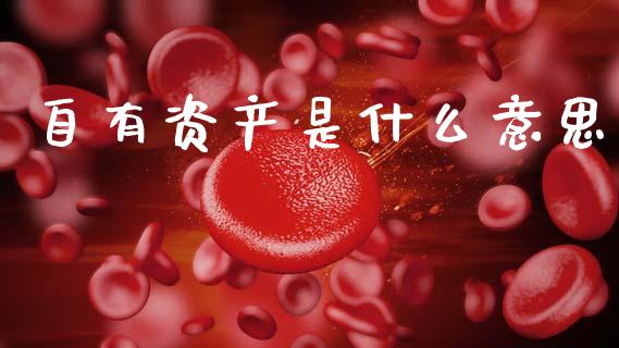 自有资产是什么意思_https://m.eyunqq.com_融资融券_第1张