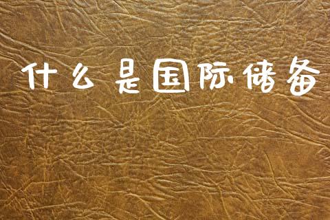 什么是国际储备_https://m.eyunqq.com_期货投资学习_第1张