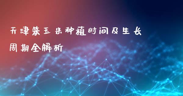 天津笨玉米种植时间及生长周期全解析_https://m.eyunqq.com_基金交易_第1张