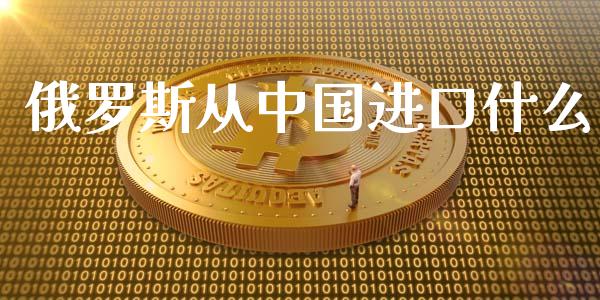 俄罗斯从中国进口什么_https://m.eyunqq.com_新股申购_第1张