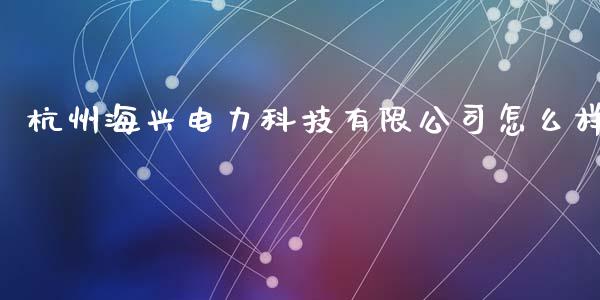 杭州海兴电力科技有限公司怎么样_https://m.eyunqq.com_融资融券_第1张
