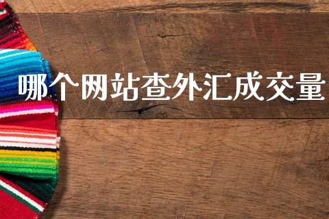 哪个网站查外汇成交量_https://m.eyunqq.com_期货投资学习_第1张