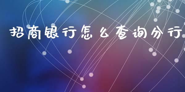 招商银行怎么查询分行_https://m.eyunqq.com_期货投资学习_第1张
