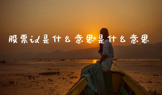 股票id是什么意思是什么意思_https://m.eyunqq.com_融资融券_第1张
