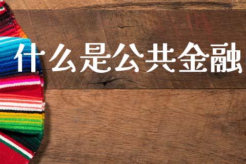 什么是公共金融_https://m.eyunqq.com_基金交易_第1张