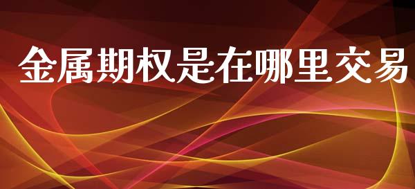 金属期权是在哪里交易_https://m.eyunqq.com_期货投资学习_第1张