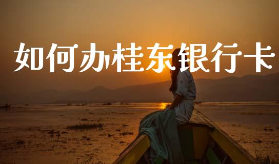 如何办桂东银行卡_https://m.eyunqq.com_期货投资学习_第1张