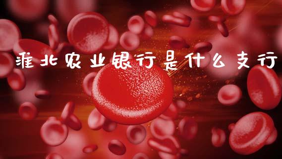 淮北农业银行是什么支行_https://m.eyunqq.com_融资融券_第1张