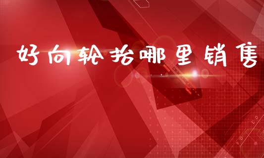 好向轮抬哪里销售_https://m.eyunqq.com_新股申购_第1张