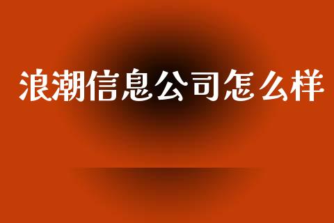 浪潮信息公司怎么样_https://m.eyunqq.com_新股申购_第1张