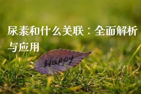 尿素和什么关联：全面解析与应用_https://m.eyunqq.com_融资融券_第1张