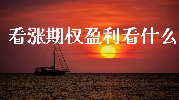 看涨期权盈利看什么_https://m.eyunqq.com_融资融券_第1张