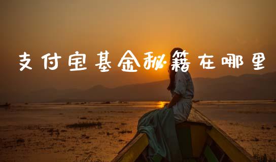 支付宝基金秘籍在哪里_https://m.eyunqq.com_期货投资学习_第1张