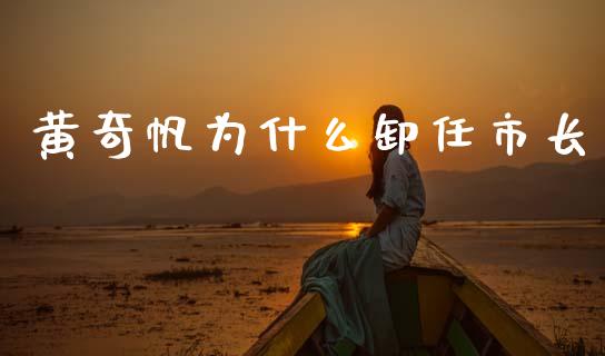 黄奇帆为什么卸任市长_https://m.eyunqq.com_融资融券_第1张