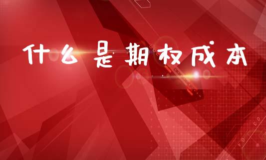 什么是期权成本_https://m.eyunqq.com_期货投资学习_第1张