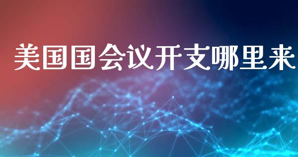 美国国会议开支哪里来_https://m.eyunqq.com_期货投资学习_第1张