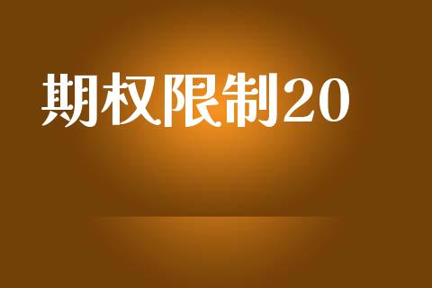 期权限制20_https://m.eyunqq.com_融资融券_第1张