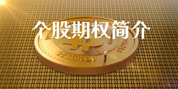 个股期权简介_https://m.eyunqq.com_基金交易_第1张