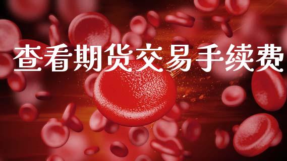 查看期货交易手续费_https://m.eyunqq.com_融资融券_第1张